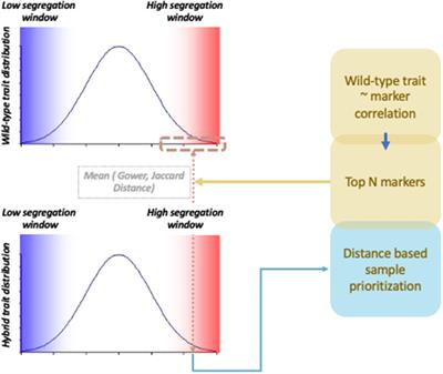 Interspecific Sample Prioritization Can Improve QTL Detection With Tree-Based Predictive Models